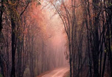 具备国际监管牌照的世界杯十大投注网 -顺络电子最新公告：涉诉三案中一案原告撤诉