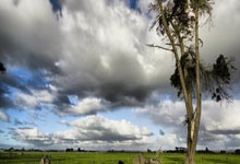 资金秒到账的世界杯十大安全外围平台 -平顶山市人大常(cháng)委會(huì)最新任免名单