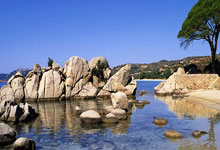 资金秒到账的世界杯十大安全外围平台 -科华生物：公(gōng)司实际控制人(rén)与公(gōng)司自然(rán)人(rén)股东彭家钰无關(guān)联關(guān)系